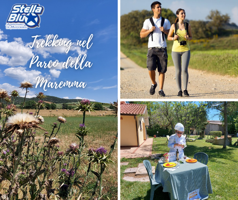Trekking-nel-Parco-della-Maremma-Agriturismo-Stella-Blu-Alberese