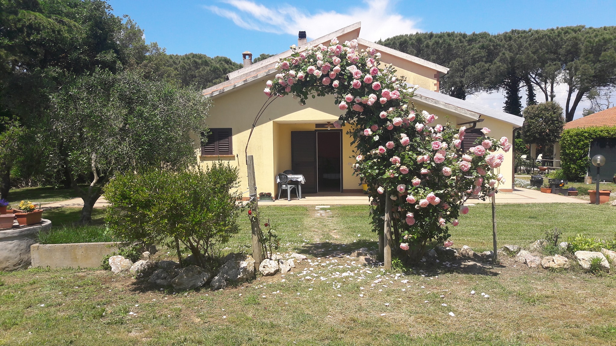 Esterno Agriturismo Maremma Parco dell'Uccellina Alberese - Stella Blu