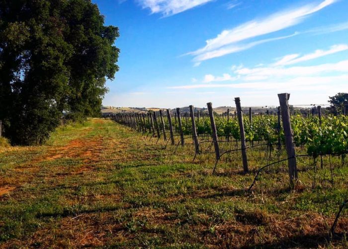 Veduta Agriturismo Alberese con Ristorante di Maremma Stella Blu