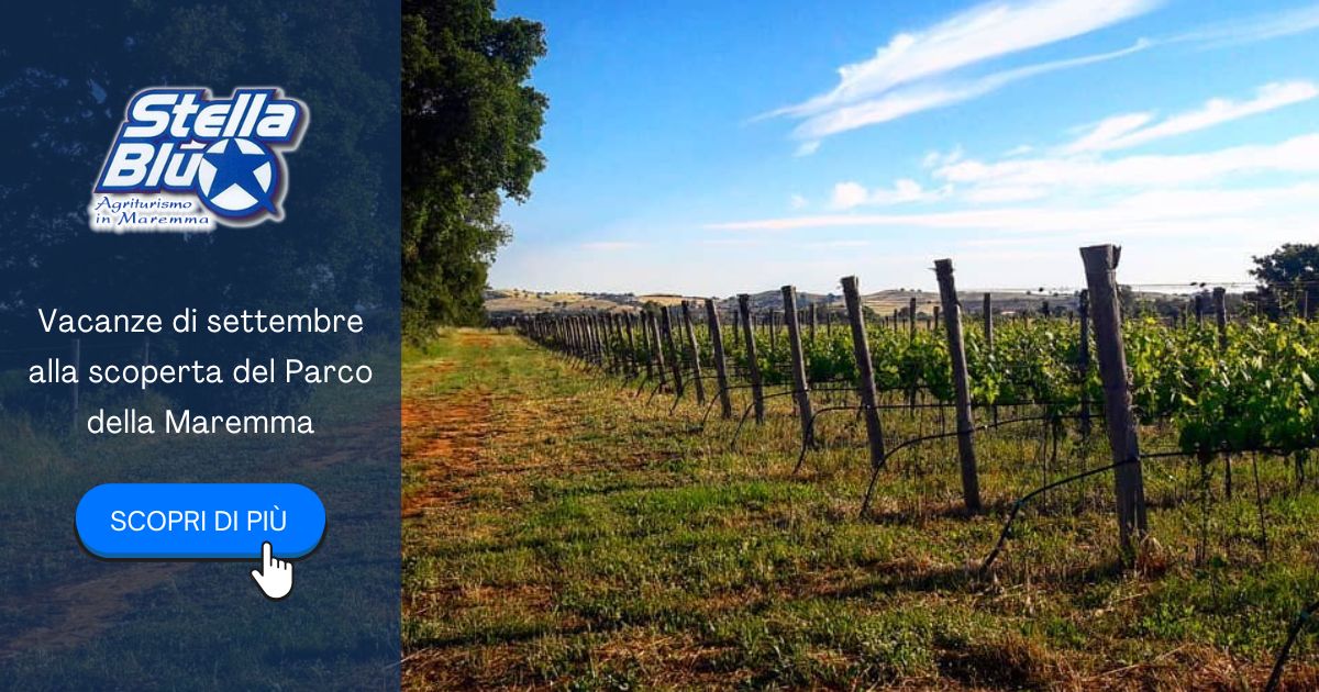 Agriturismo nel Parco della Maremma - Agriturismo Stella Blu Vacanze di Settembre