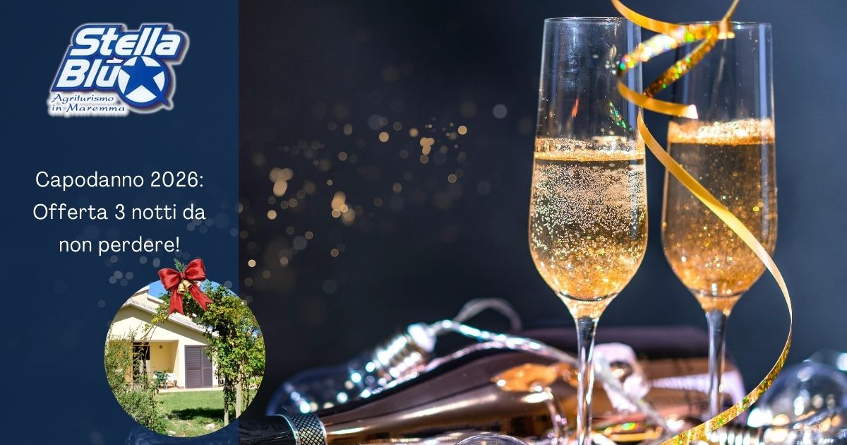 Offerta Capodanno in Maremma, Agriturismo Stella Blu Alberese