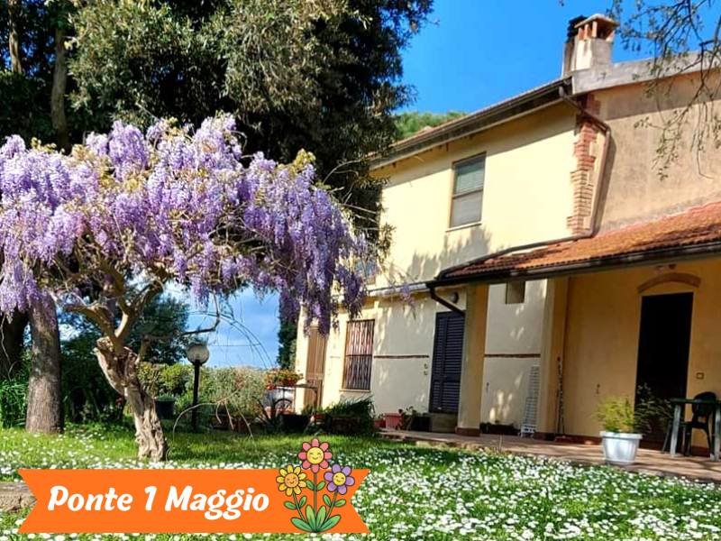 Ponte 1 Maggio Agriturismo Stella Blu Offerte Ponte Primaverili