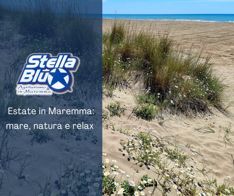 Estate in Maremma all'Agriturismo Stella Blu mare, natura e relax