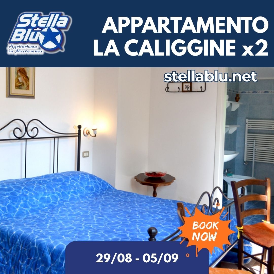Last Minute Agosto Stella Blu Appartamento La Caliggine