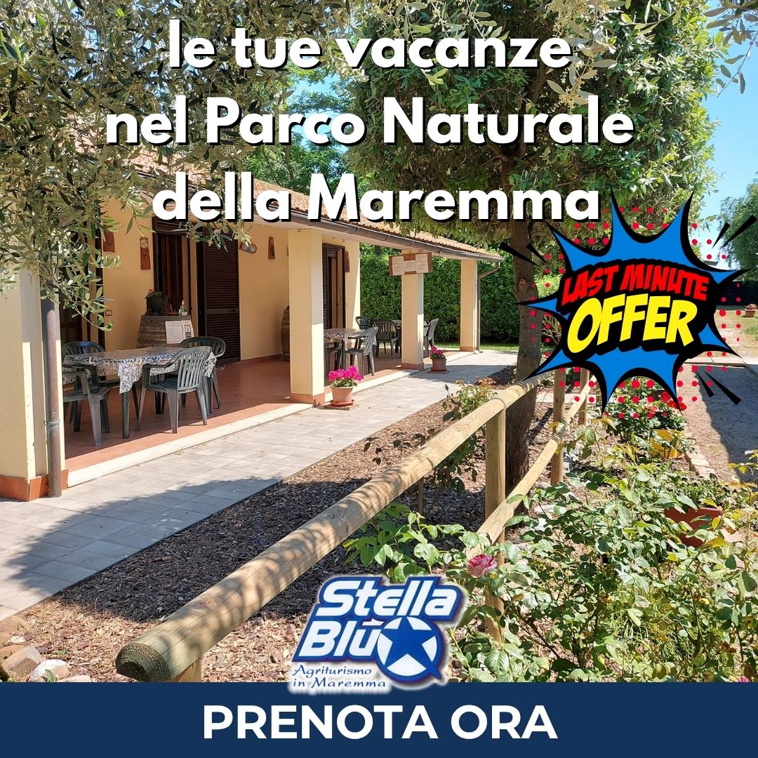 Last Minute Agriturismo Stella Blu Alberese - Camere e Appartamenti
